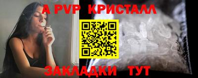 гидра Тара