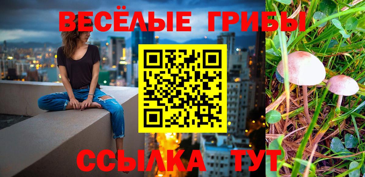 Тихвин  Галлюциногенные грибы MAGIC MUSHROOMS  купить  цена  Вход с VPN  Галлюциногенные грибы Cubensis 